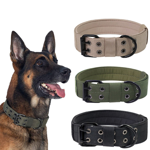 Halsband OneTigris Military mit Metall-D-Ring & Schnalle