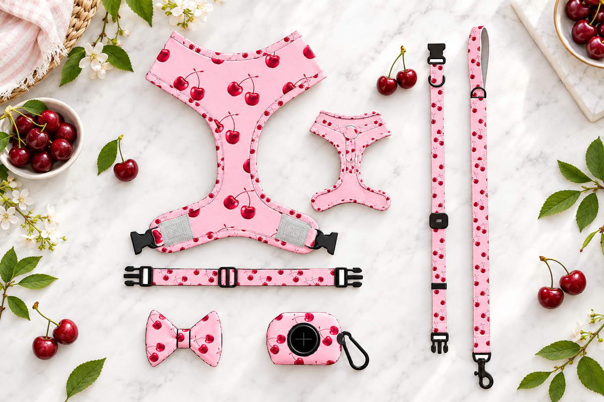 Set Ciliegia – Flat Lay Premium